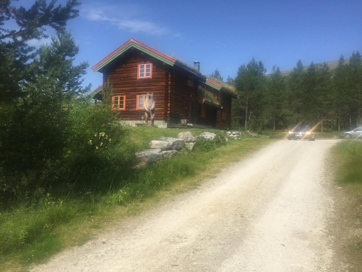 Villa Rondane Sollia Friluftsliv Ovre Nordli Esterno foto