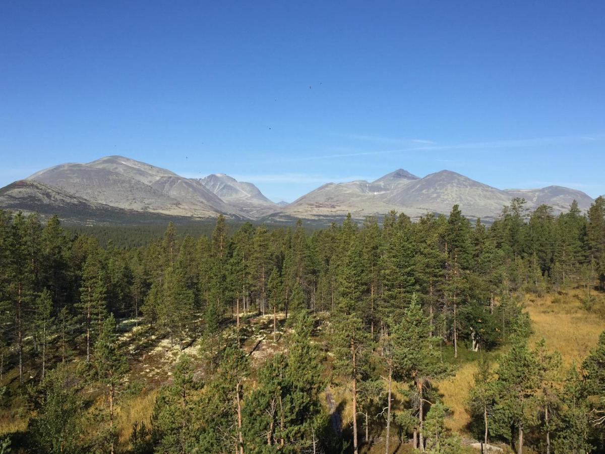 Villa Rondane Sollia Friluftsliv Ovre Nordli Esterno foto