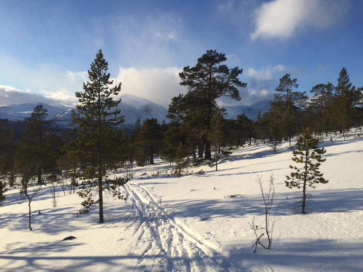 Villa Rondane Sollia Friluftsliv Ovre Nordli Esterno foto
